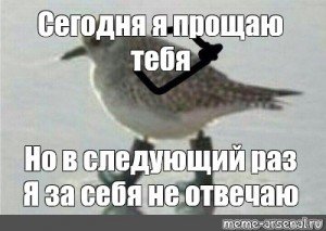 Птичка в валенках штош