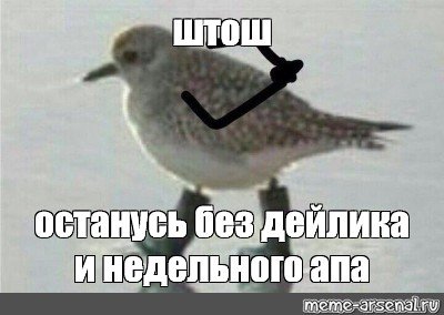 Мем штош птичка (50 фото)