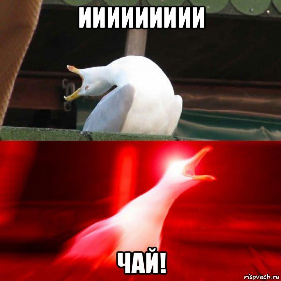 Индийский чай Мем