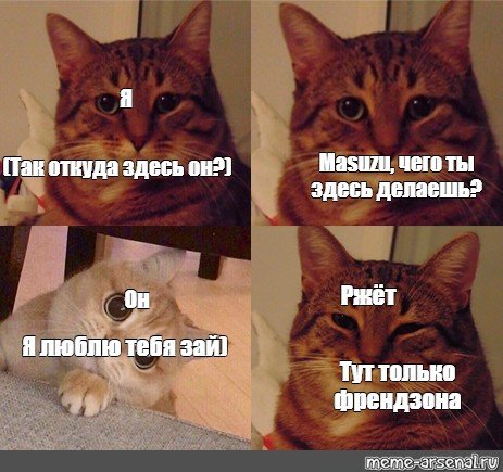 Мемы про котов
