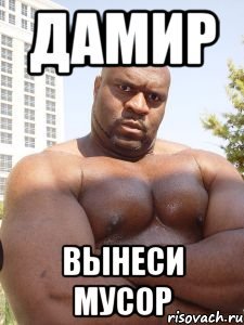 Дамир мемы
