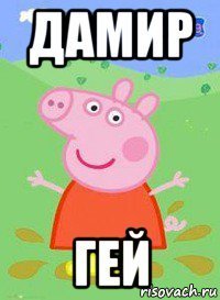 Шутки про Дамира