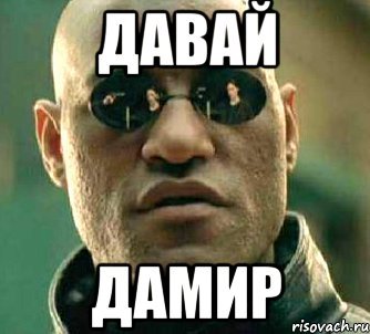 Мемы про Дамира