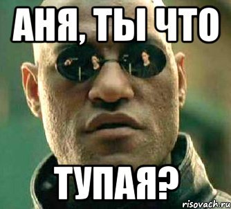 Мем тупая Аня