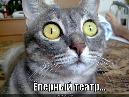 Приколы про театралов