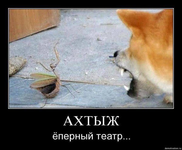 Ёперный театр