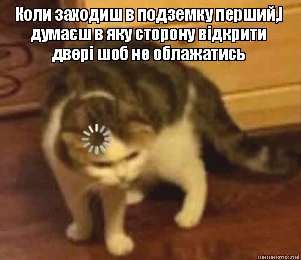Задумчивая кошка