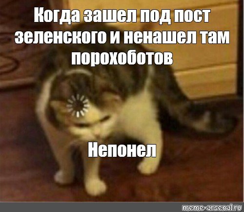 Кот мыслит