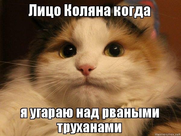 Задумайся Мем кот
