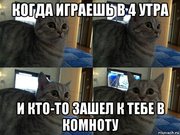 Мой кот когда я пою