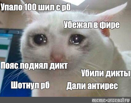 Мем Плачущий кот убежал