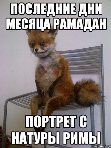 Мемы про Римму