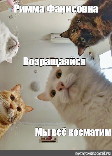 Рим пал Мем