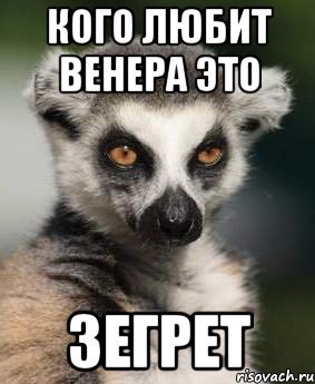 Венера мемы