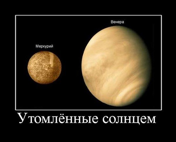 Приколы про Венеру