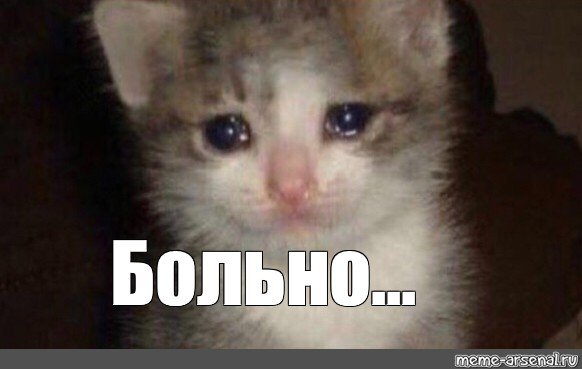 Плачущий кот Мем