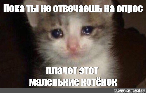 Плачущий кот