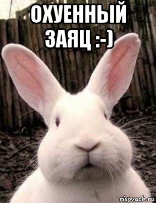 Заяц Багз Банни жирный