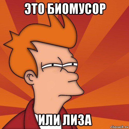 Лиза Мем
