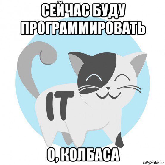 Кот it мемы