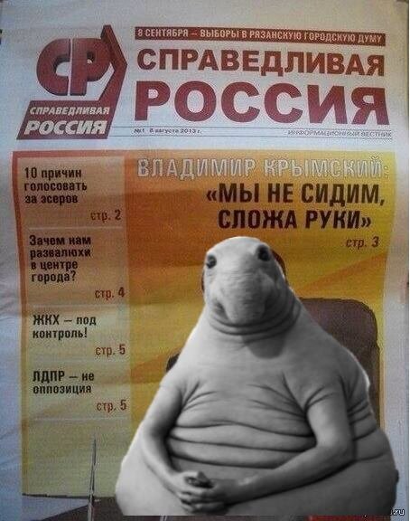 Не сидим сложа руки Мем