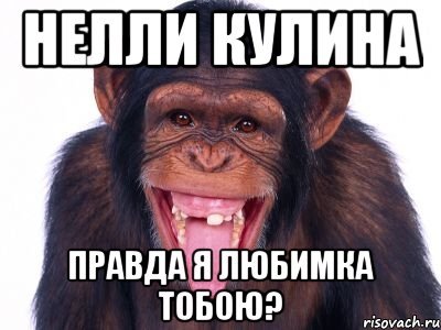 Неля приколы