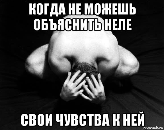 Смешные картинки про Нелю