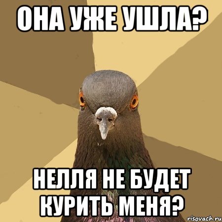 Голубь Мем жрешь