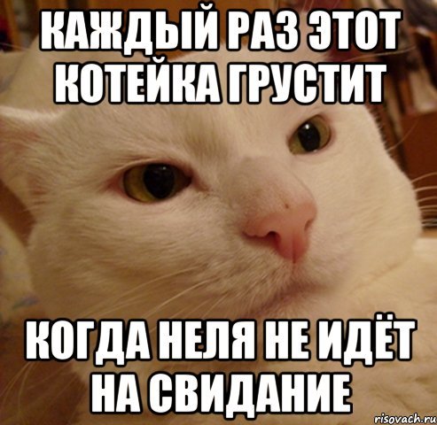 Анекдоты про Нелю