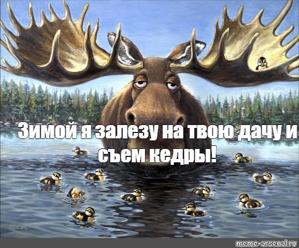 Мультик жили на рогах звери про лося