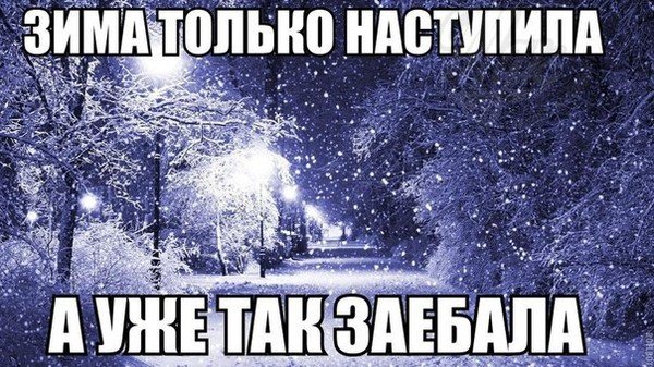 Наконец наступила зима