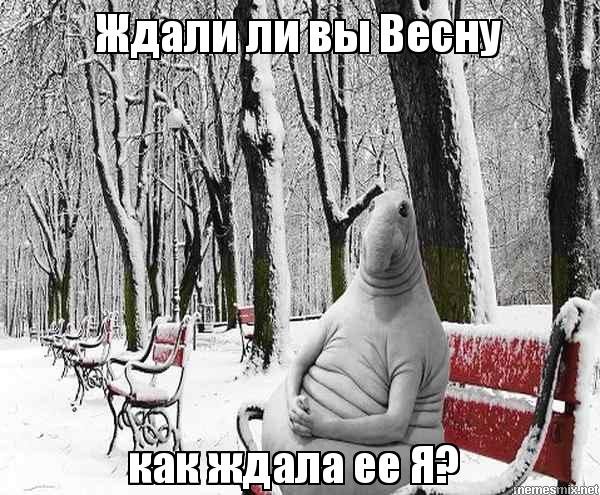 Ждун ждет зиму