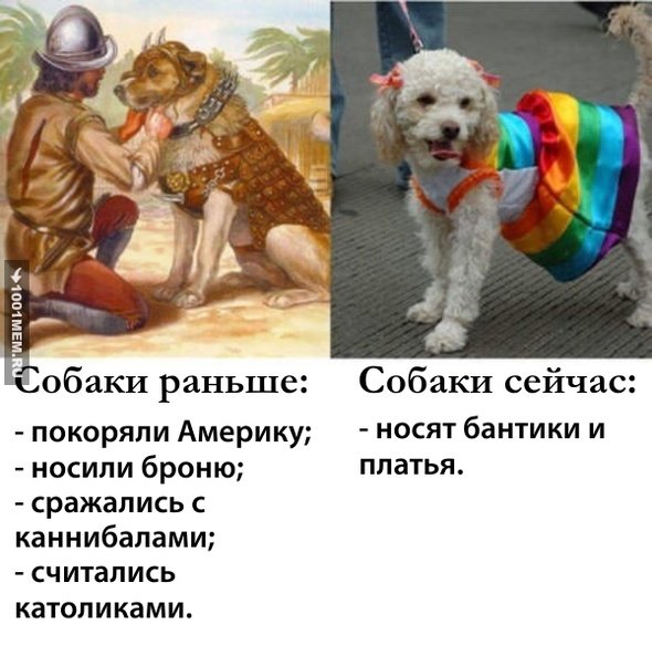 Собаки раньше и сейчас