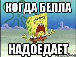 Белла порч Мем
