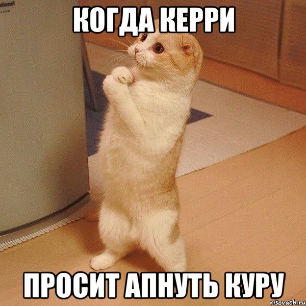 Дом в котором мемы