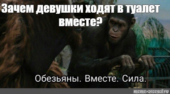 Ничто так не раздражает женщину как лежащий без дела мужчина картинка с обезьяной