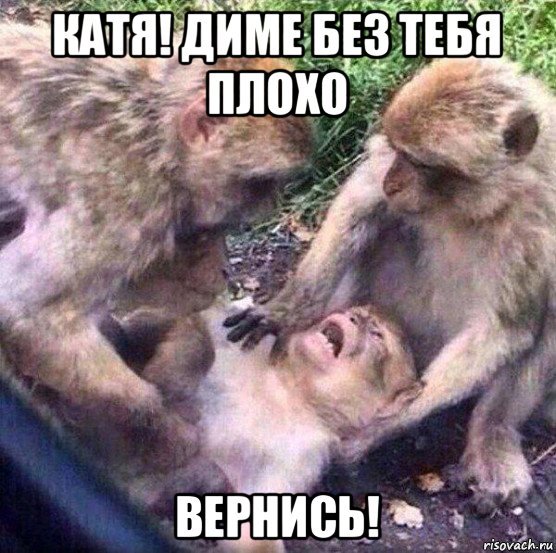 Обезьяна Мем 2021