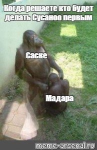 Мемы с обезьянами со словами