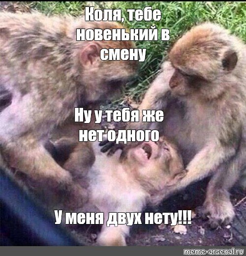 Мемы Коля обезьяна