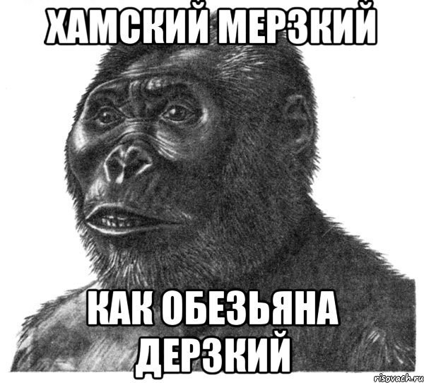 Обезьяна Мем