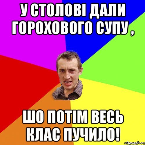 Кот после горохового супа