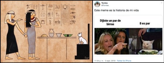Коты мемы Египет