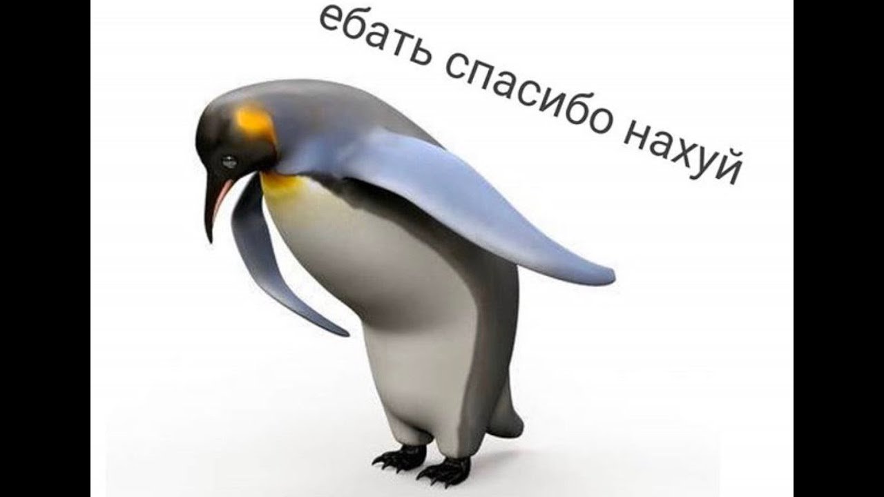 Мем пингвин спасибо