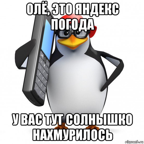 Мем с пингвином спасибо нахуй