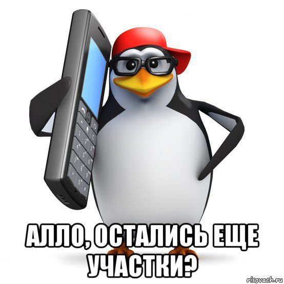 Мем пингвины Саня