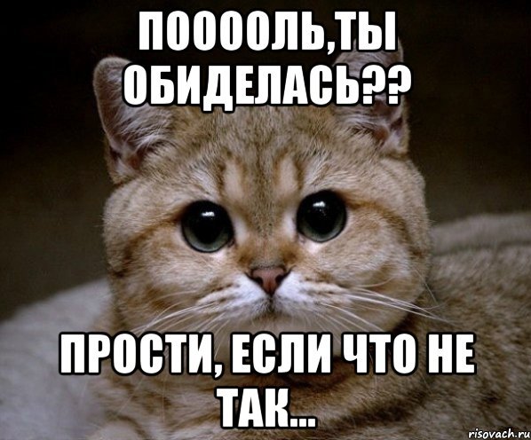 Прости если обидела