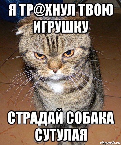 Страдающие котики мемы
