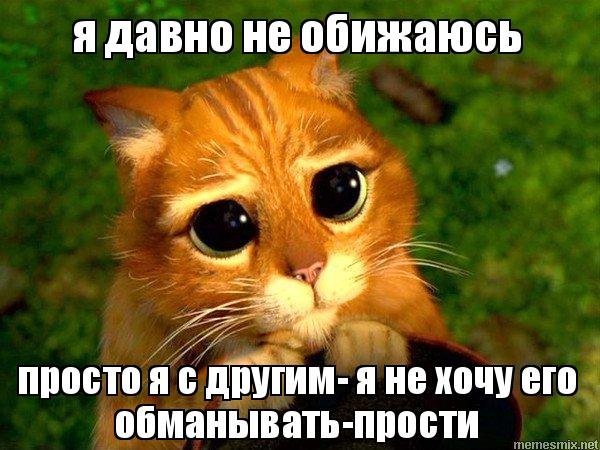Кот плачет Мем
