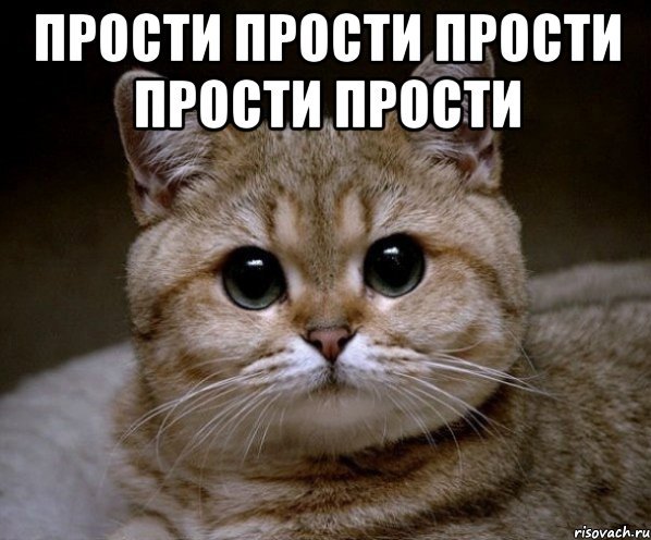 Извини Мем