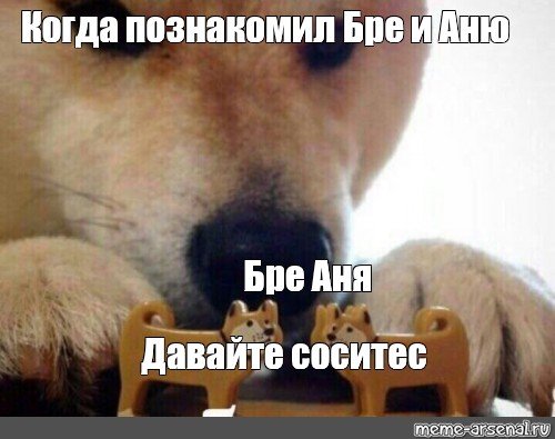 Собачки уходим